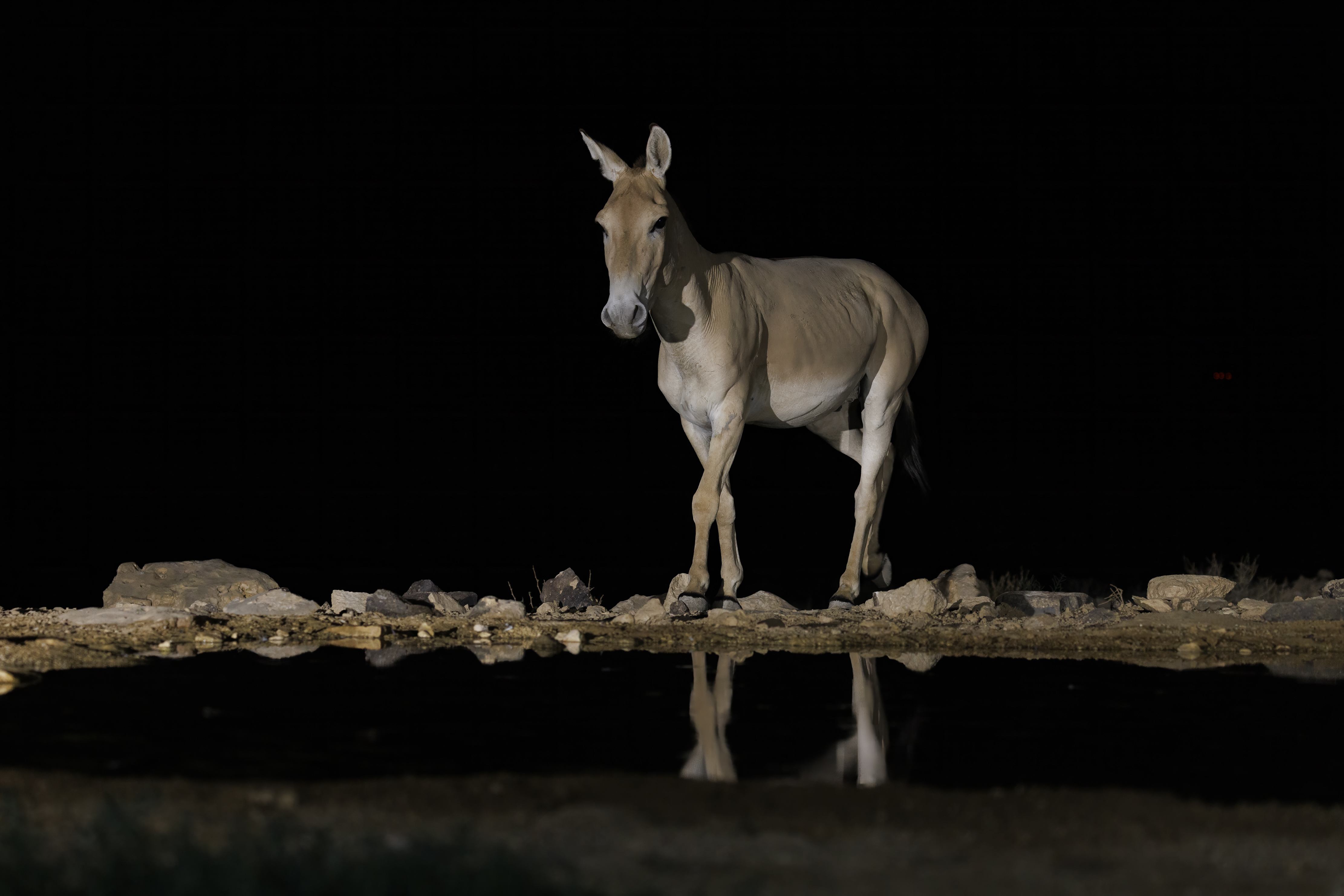 20220819-August 19, 2022-203029-203029-Edit.jpg